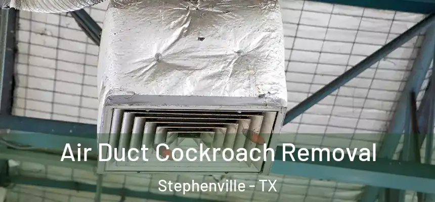 Air Duct Cockroach Removal Stephenville - TX
