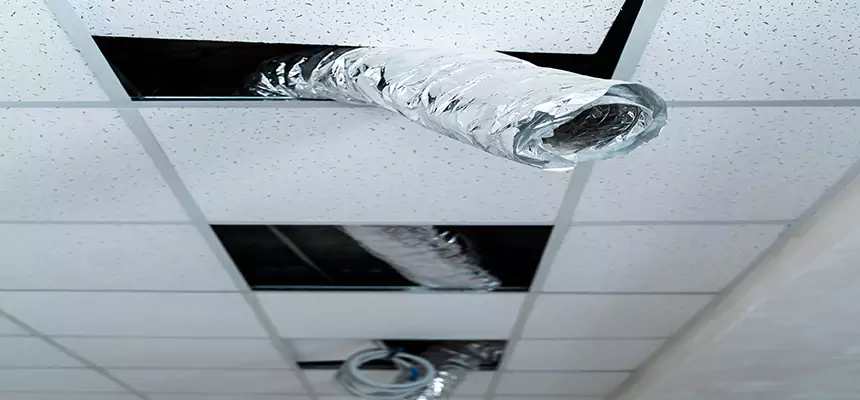 Our Air Duct Pet Hair Removal Services in Stephenville, TX