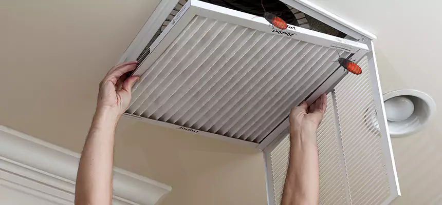 Our Insect Removal from Air Ducts Services in Stephenville, TX