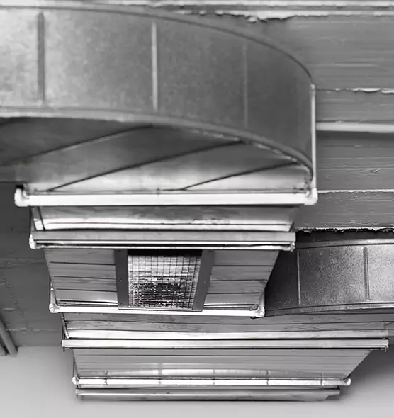 Professional Air Duct Pest Removal in Stephenville, TX