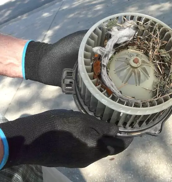 About Air Duct Rat Removal in Stephenville, TX