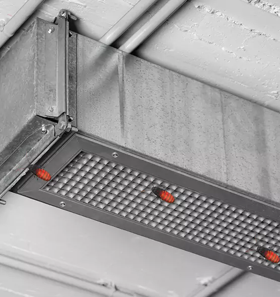 Affordable Insect Removal from Air Ducts in Stephenville, TX