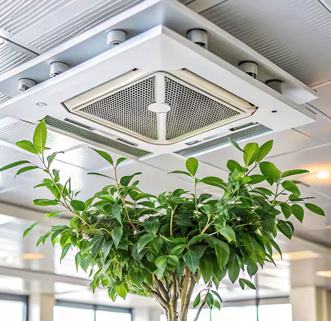 Why Homeowners & Businesses Trust Us in Stephenville, TX